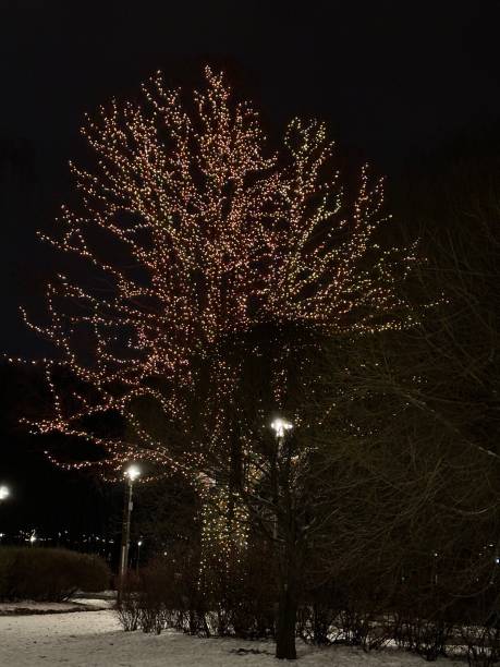 Árvore de Natal - foto de acervo