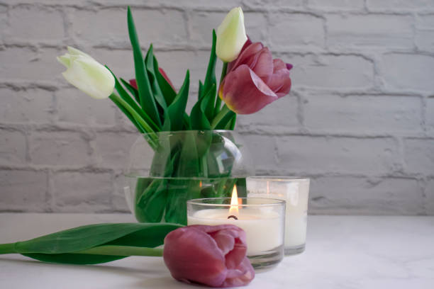istock Tulip flower, candle on old background 1448601353