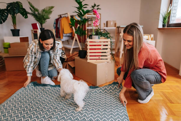 istock Carpet for a new home 1448606204