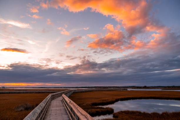 istock Wooden Pier at Sunset 1448607179