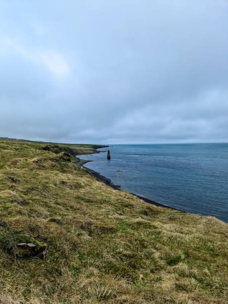 istock The long black beaches of Iceland. 1448608120