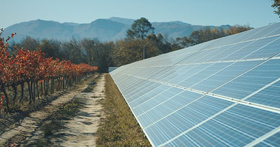 Solar energy, solar panels at farm and renewable energy electricity for sustainability, eco friendly tech development and innovation. Clean energy, sustainable technology and green tech agriculture