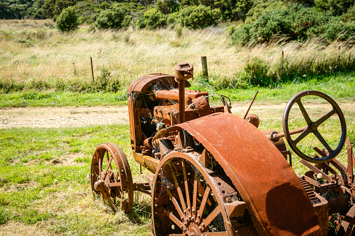 Vintage agricultural tractor deserted and rusting away in clearing in South Island bush and hill country.