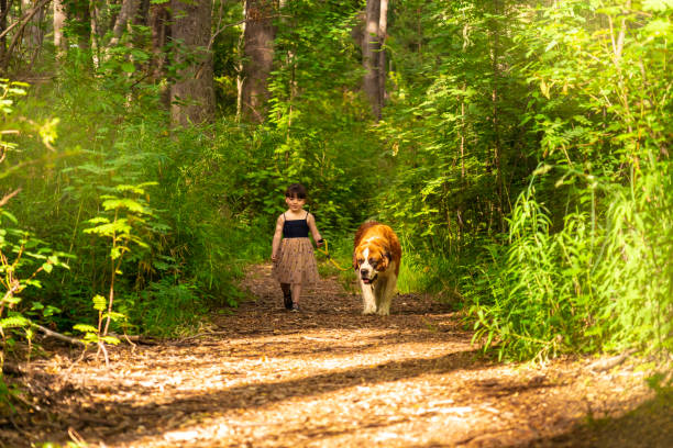istock Adorable girl walking with dog 1448617445
