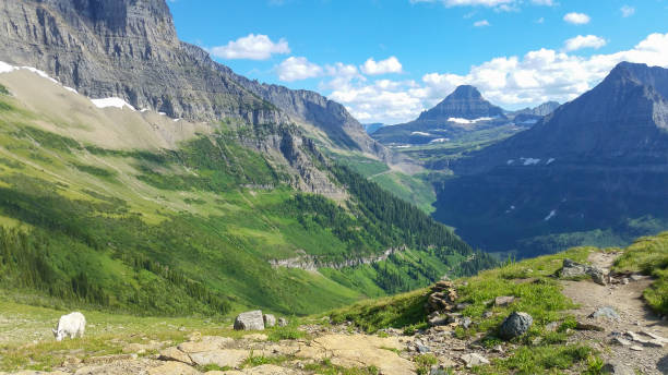 istock Highline Trail, Glacier National Park 1448621012
