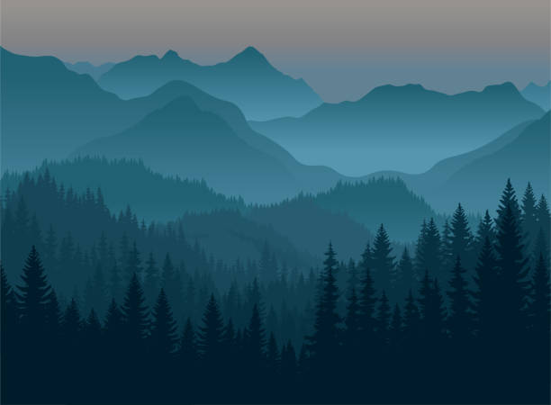 ilustraciones, imágenes clip art, dibujos animados e iconos de stock de vector montañas apalaches mañana brumosa - great smoky mountains