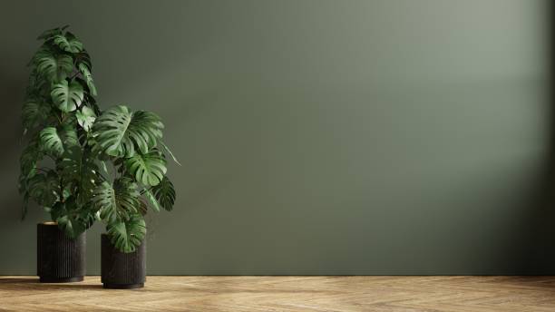istock Dark green wall empty room with plants on a floor. 1448622665