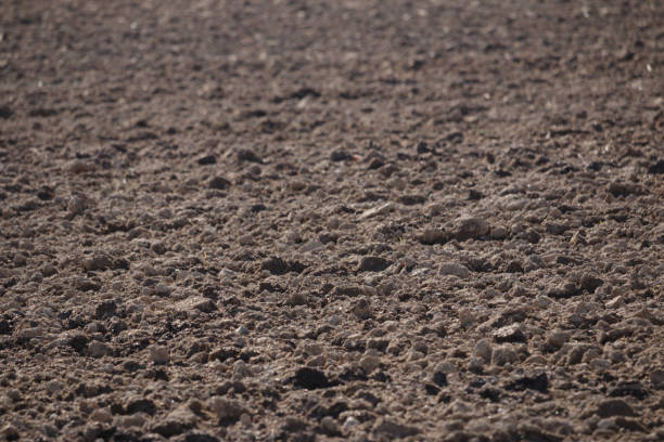 istock Full frame rich brown soil in field 1448627071
