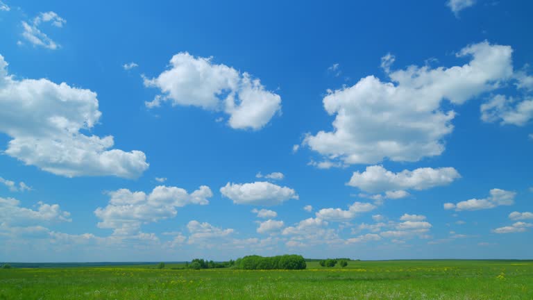 Spring landscape. Clouds moving in clear blue sky over the green field and trees. Green forest seen in distance on horizon line. Wide shot. Timelapse.