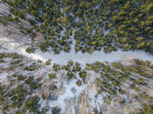 istock Flight over the winter mountains with road serpentine and pine forest. Top down view. Landscape photography 1448640118