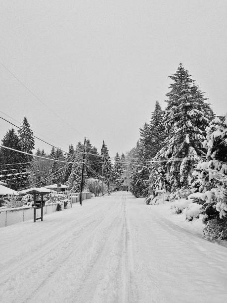 istock Winter wonderland 01 1448641808
