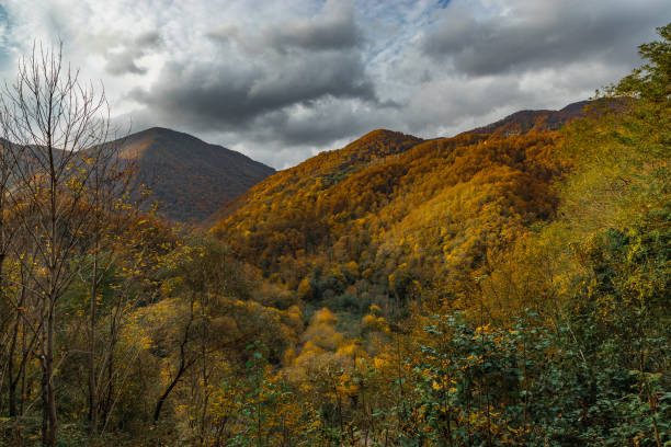 istock Autumn view of the mountains. 1448652417