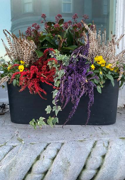 istock Ennis, Co. Clare, Ireland - Window Flower Box & Building Reflection 1448656548