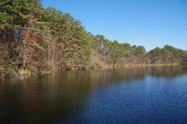istock Goshikinuma Pond in Urabandai 1448667890