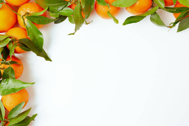 istock winter flat lay with tangerines 1448673923