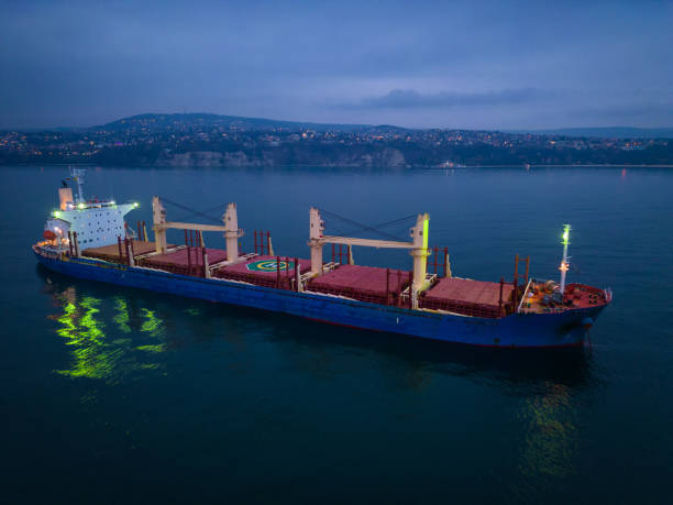 istock Aerial view cargo bulk carrier ship on the sea at night 1448679158
