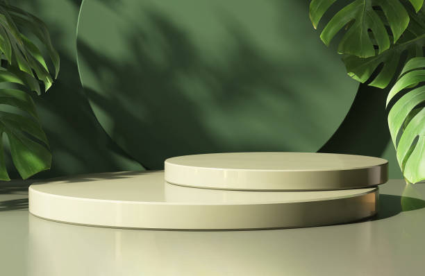 istock Two layer light green round podium on table counter, monstera plant in sunlight, leaf shadow on matte dark green wall background 1448680705