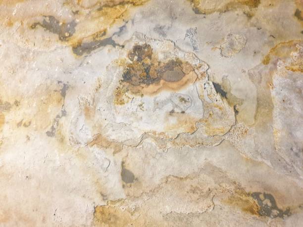 istock cement old have smear and smudge texture. 1448682711