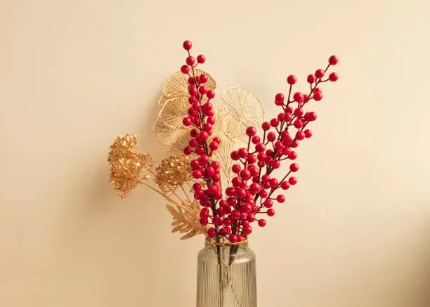 Chinese New Year decorations with clean background Chinese New Year decorations with clean background