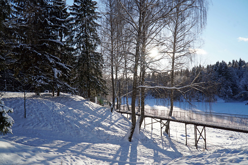 Winter landscape. Forest and bridge over the frozen lake