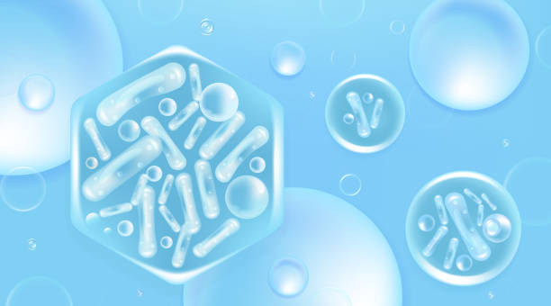istock Probiotic and Hyaluronic acid skin solutions ad, blue collagen, and vitamin serum drops with cosmetic advertising background ready to use illustration vector. 1448685227
