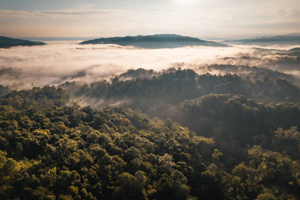 istock Mountains and fog in the morning 1448690043