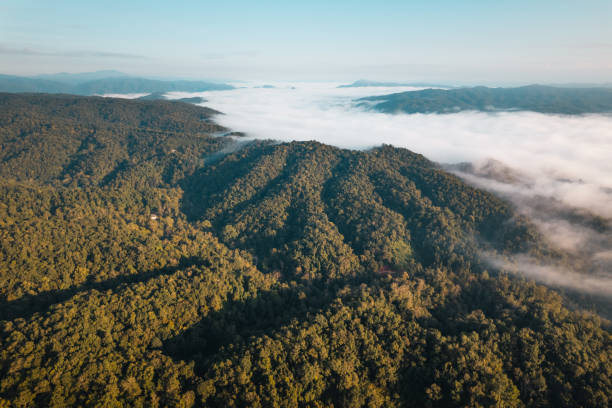 istock Mountains and fog in the morning 1448690057