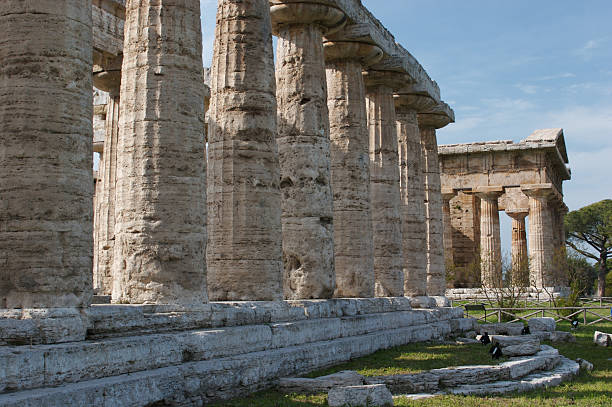 paestum, италия - temple of neptune стоковые фото и изображения