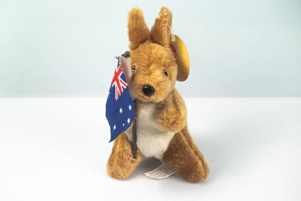 canguro disecado de australia con la bandera australiana - stuffed animal toy koala australia fotografías e imágenes de stock