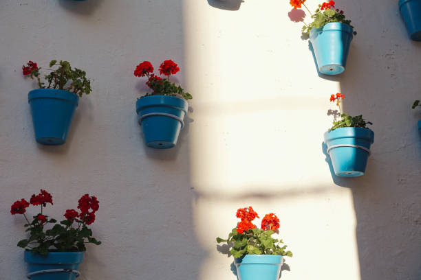 istock Streets of Marbella old town 1448697280