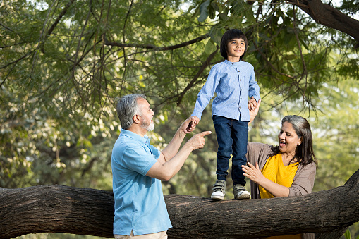 Indian grandparents holding playful grandson's hands and assisting him in walking on log while enjoying weekend in park