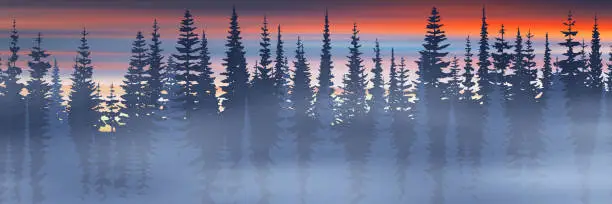 Vector illustration of Forest against the backdrop of a dramatic sunset