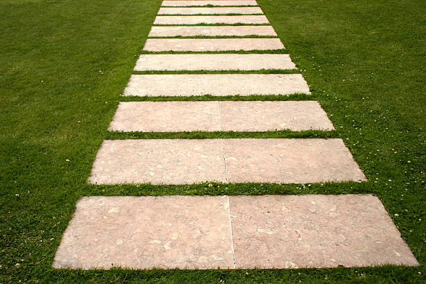 stones in the grass, making a way stock photo