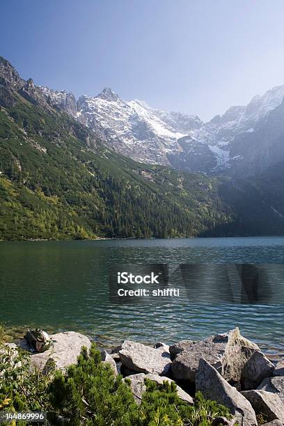 Photo libre de droit de Monts De Tatra banque d'images et plus d'images libres de droit de Aiguille rocheuse - Aiguille rocheuse, Arbre, Aventure