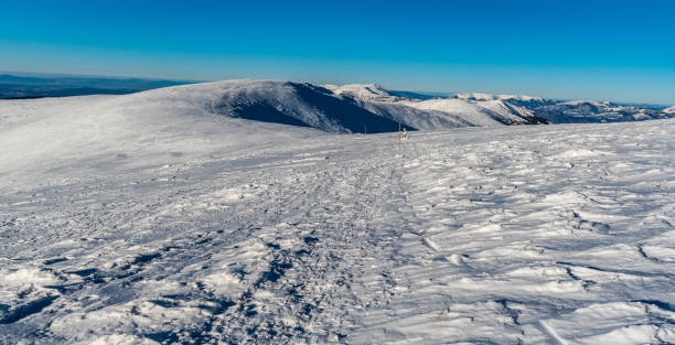 Western part of Low Tatras and Velka Fatra mountains from hiking trail above sedlo Durkovej in Slovakia during winter Western part of Low Tatras and Velka Fatra mountains from hiking trail above sedlo Durkovej in Slovakia during winter morning with clear sky durkova stock pictures, royalty-free photos & images