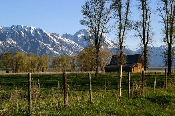 istock Mormon barn in the Tetons 144870983