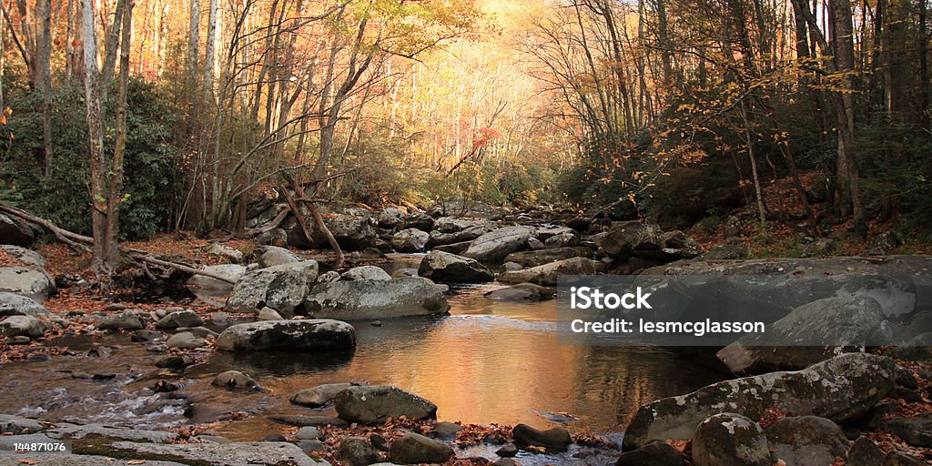 Piccolo fiume al crepuscolo - Foto stock royalty-free di Acqua stagnante