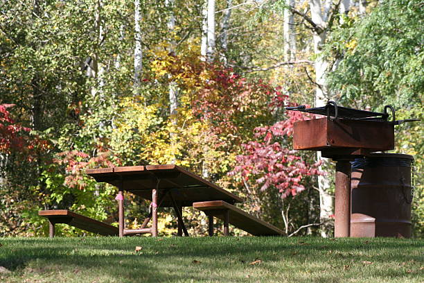 Picnic in Autumn stock photo