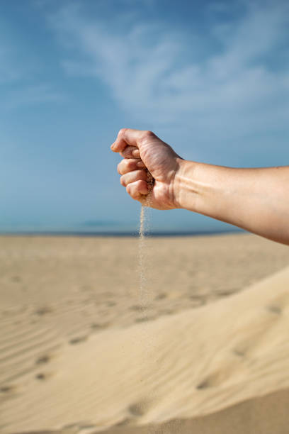 istock Fist with sand falling out on a sandy beach 1448712508