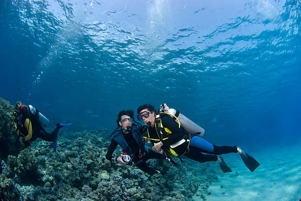 istock Diver couple having fun on the reef 144871477