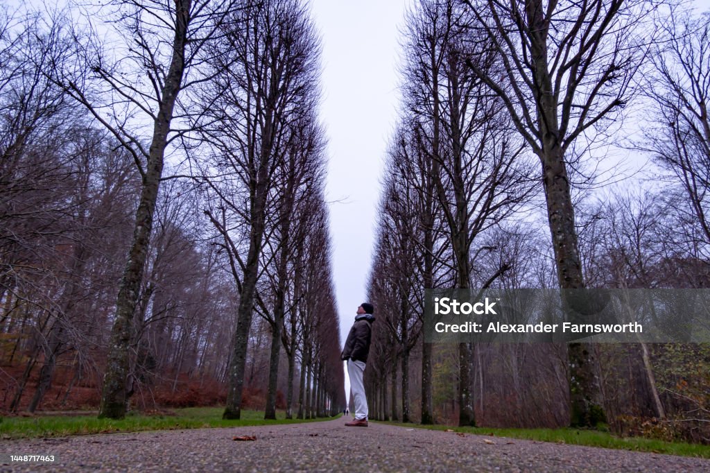 Fredensborg, Denmark Fredensborg, Denmark A man stands on a path in the Fredensborg park. 55-59 Years Stock Photo