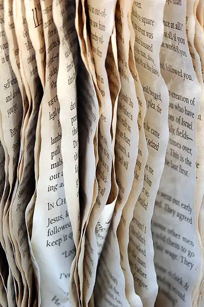 These pages were drying in the sun after a rain nearly shut down the yard sale. 