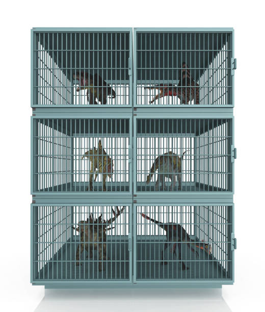 Computer generated 3D illustration with dinosaurs in animal cages