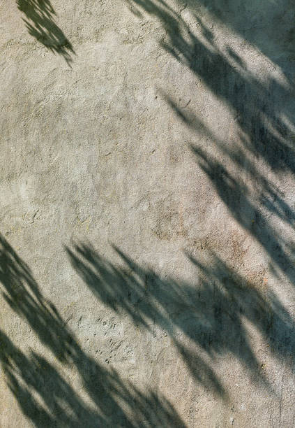 istock Play of shadows and light on the grey rough surface of old wall. 1448721840