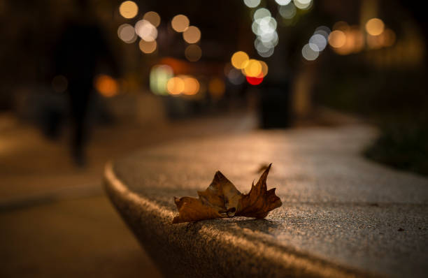 Autumn leaf on stone bench at night during raining day