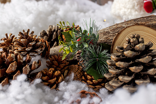 Christmas scenery with wooden logs and pine cones and snow.