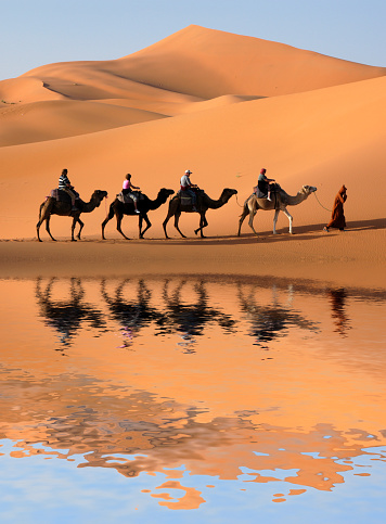 Asian Chinese female tourists getting up riding dromedary camel train crossing Sahara Desert Morocco