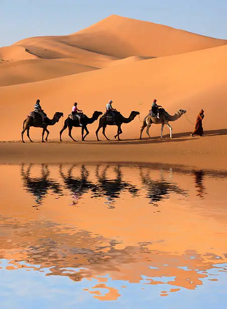 Photo of Camel caravan reflected in a Sahara Desert oasis 
