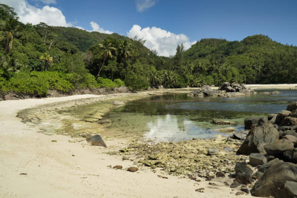 istock rocky and White sandy beaches with rock boulders 1448730439