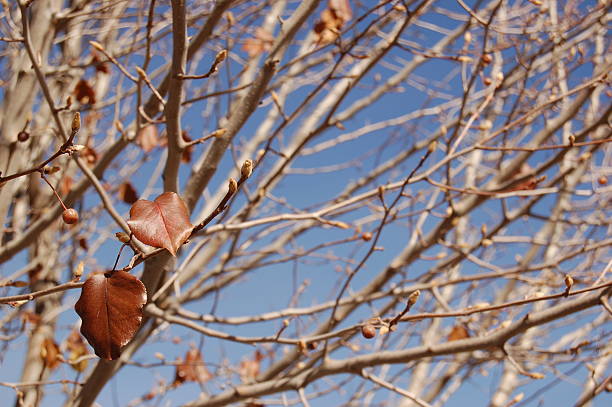 Hangin' in There stock photo